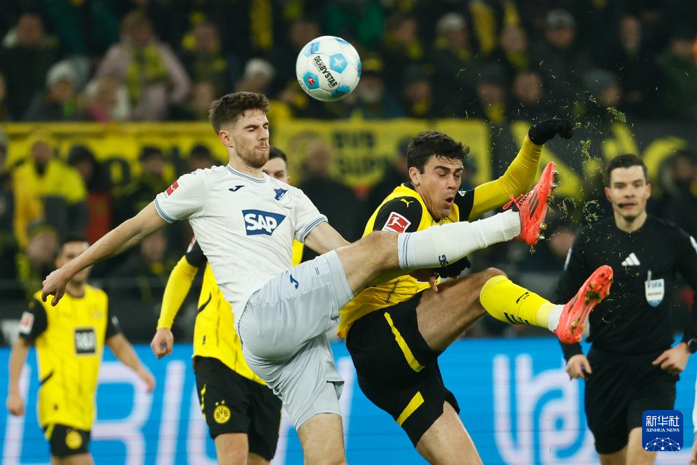 霍芬海姆在德国足球联赛中积极备战 霍芬海姆在德国足球联赛中积极备战