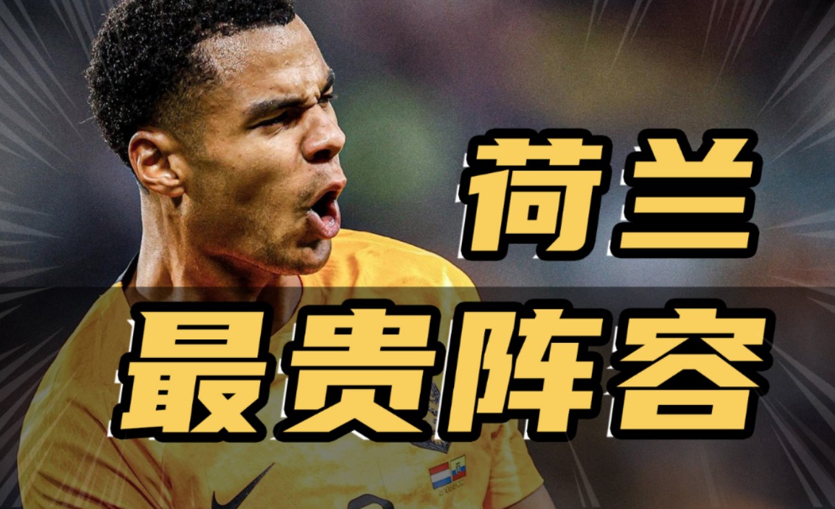 荷兰罕见失利,小组出线形势岌岌可危 荷兰罕见失利,小组出线形势岌岌可危